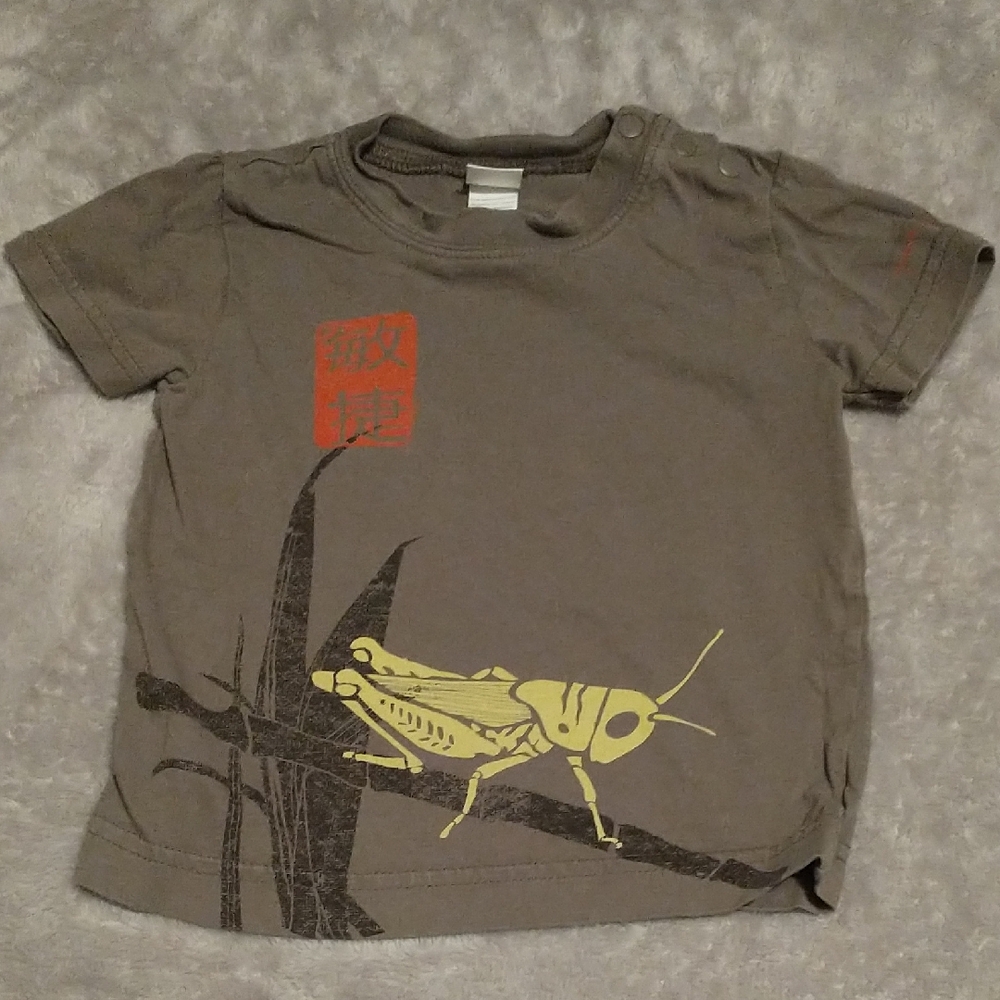 Tea Collection Gray Cotton Tee with Yellow Grasshopper Graphic and Red Accent